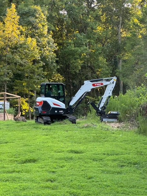 Overgrown Lot Cleared