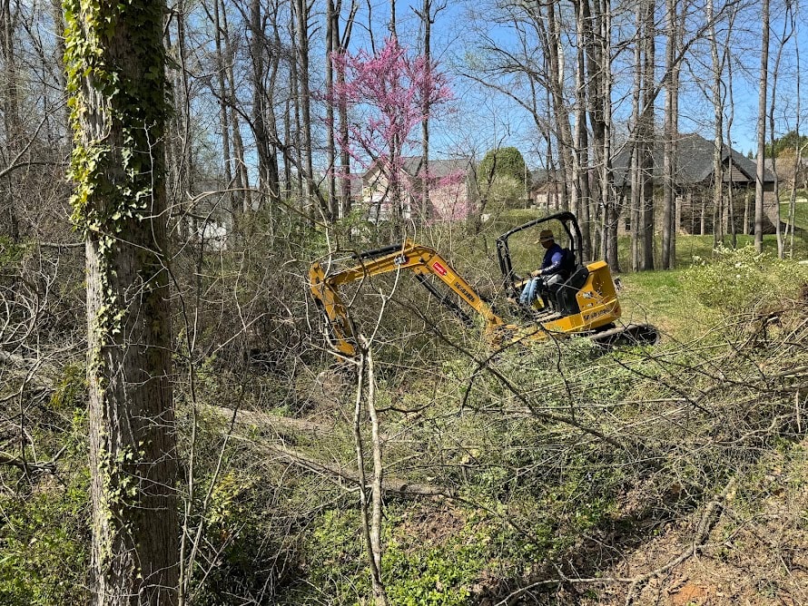 Brush Mulching