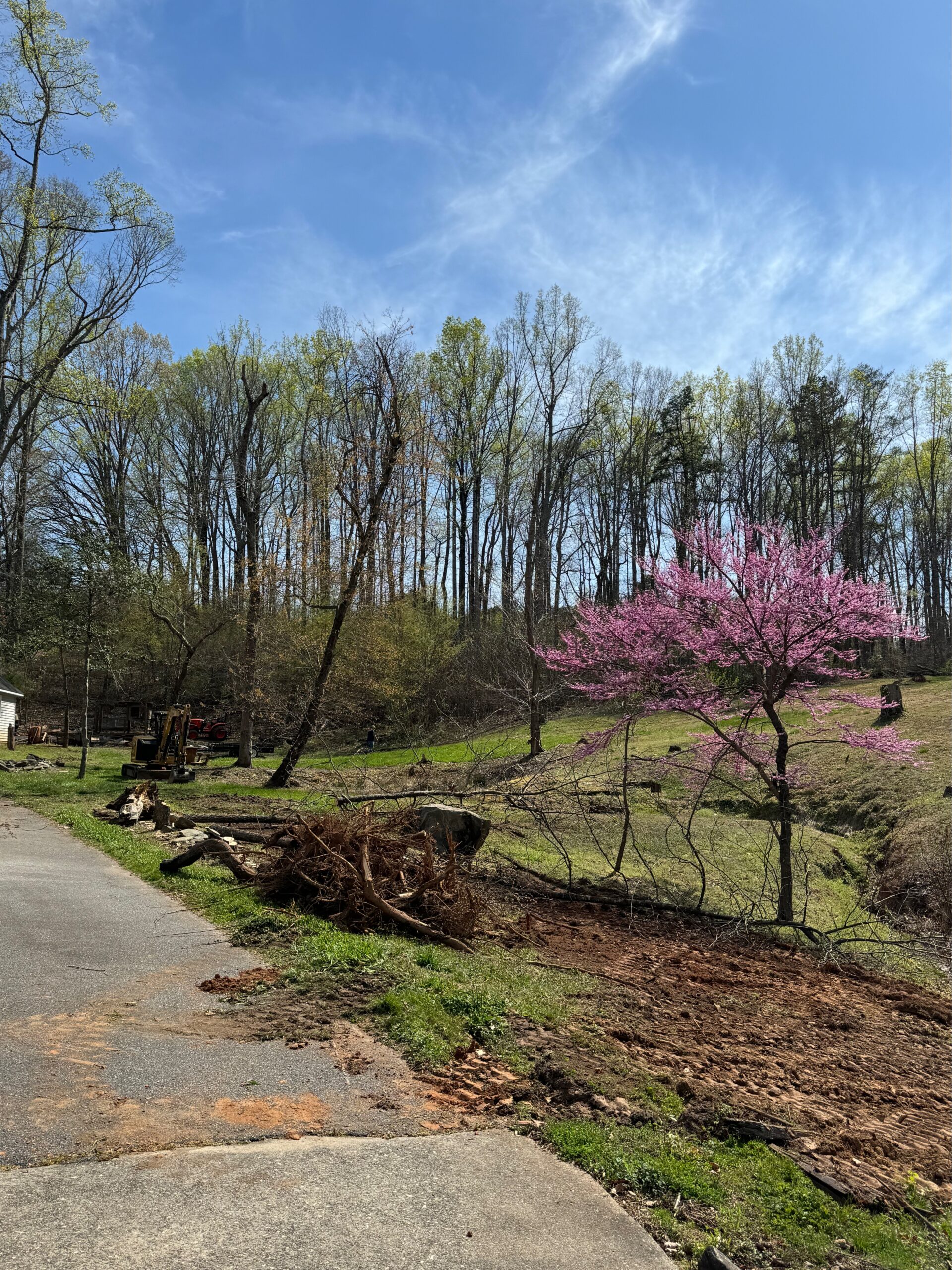 A driveway borders a grassy area where a tree has been uprooted and a backhoe is visible. A tree with pink blossoms stands nearby, with tall trees in the background under a blue sky.